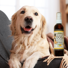 Load image into Gallery viewer, GW Pet Anti-Itch &amp; Deodorant Spray For Dogs and Cats with Orange Jasmine Blossom Scent (SUPER DEALS)